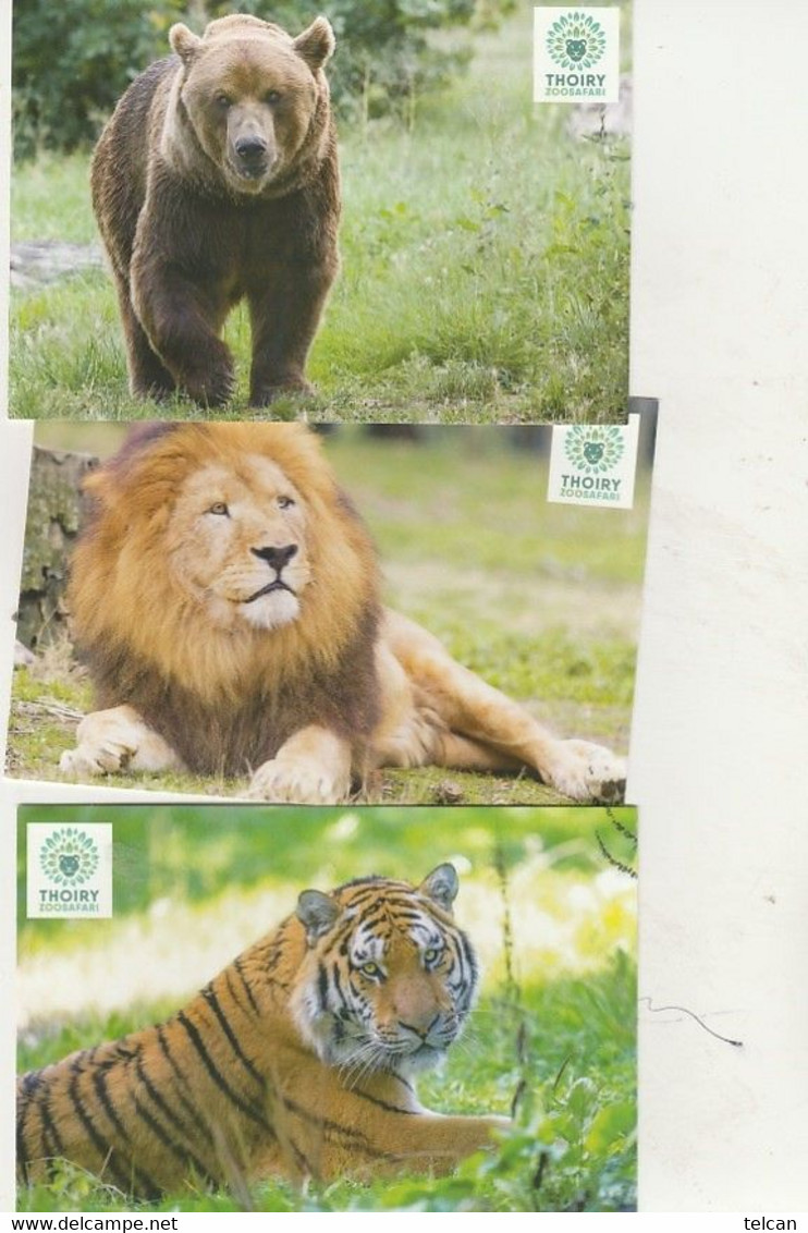 Zoo Thoiry 2020    Serie De 7 Animaux     3 SCAN MINT - Löwen