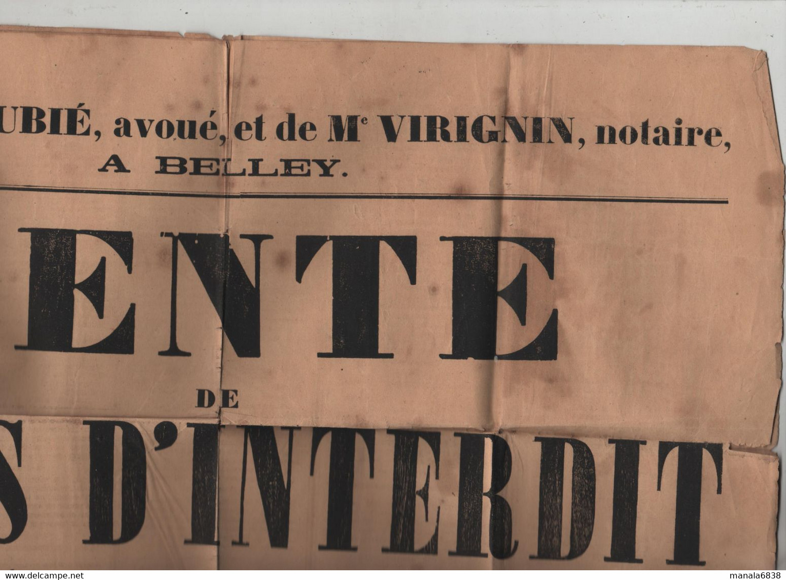 Vente De Biens D'interdit Saint Martin De Bavel Ceyzérieu Talissieu Cusieu Béon 1878 Dubié  Virignin Notaires Belley - Afiches