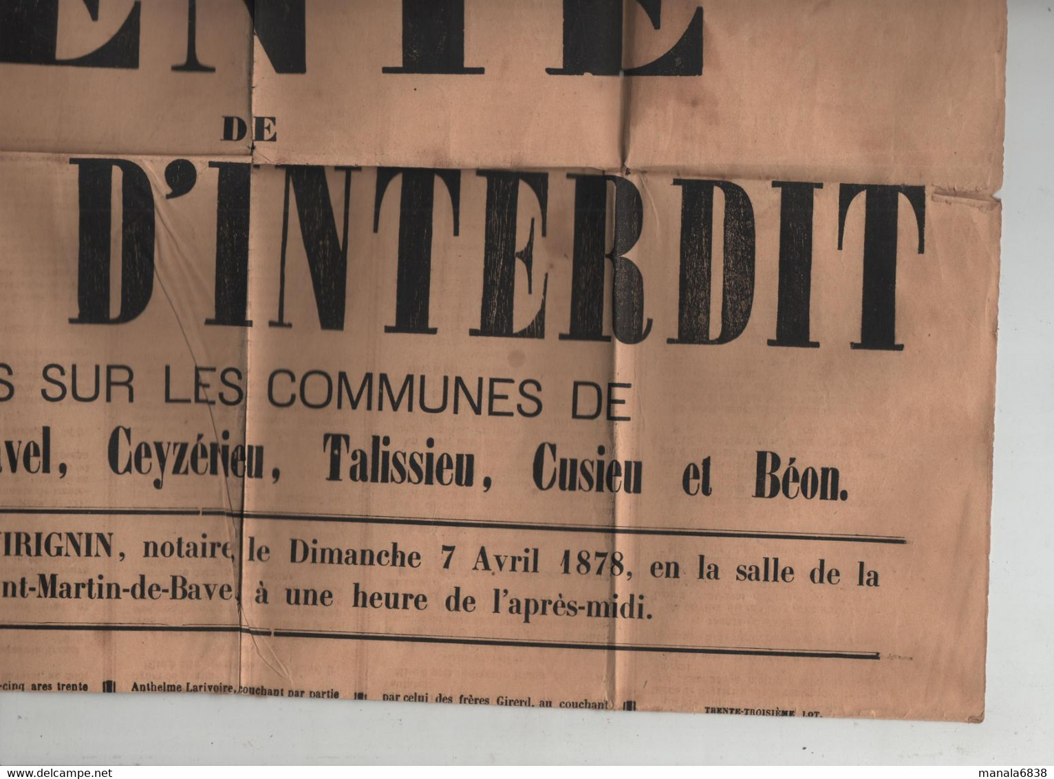 Vente De Biens D'interdit Saint Martin De Bavel Ceyzérieu Talissieu Cusieu Béon 1878 Dubié  Virignin Notaires Belley - Posters