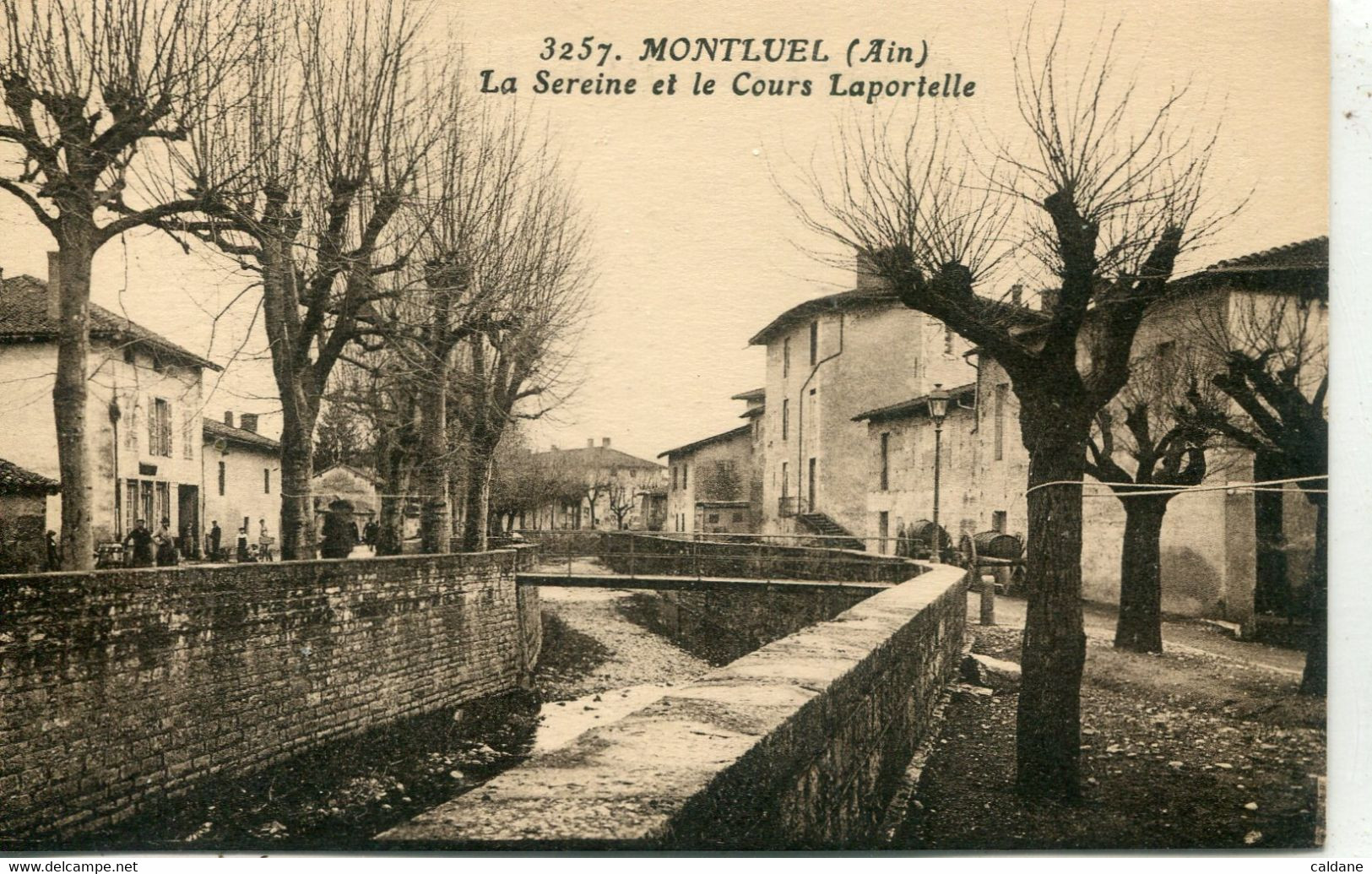 -01-AIN - MONTLUEL - La Sereine Et Le Cours Laportelle - Montluel