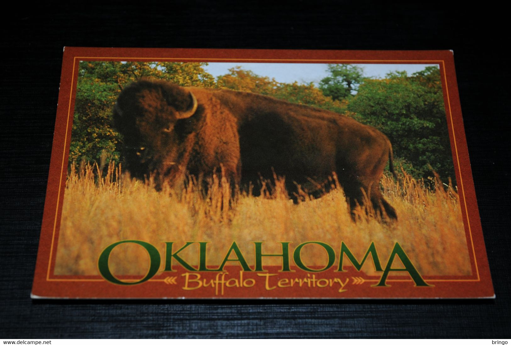 17988-             OKLAHOMA, BUFFALO TERRITORY - Andere & Zonder Classificatie