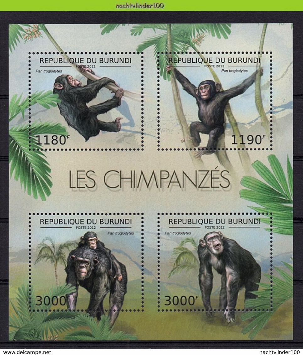 Nep143 FAUNA AAP APEN ZOOGDIEREN CHIMPANSEE PRIMATE MONKEYS MAMMALS APES AFFEN SINGES QWBU 2012 PF/MNH - Chimpanzees