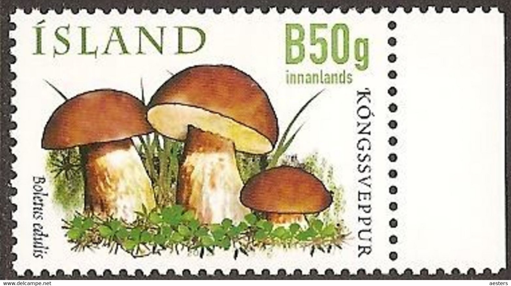 Iceland 2012; Mushrooms - Michel 1374.** (MNH) - Unused Stamps