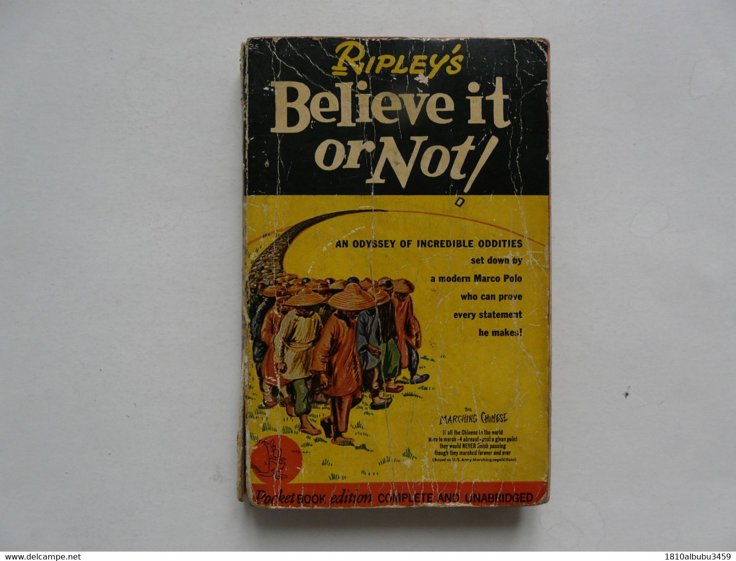 POCKET BOOK : RIPLEY'S - BELIEVE IT OR NOT : An Odysey Of Incredible Oddities - Otros & Sin Clasificación