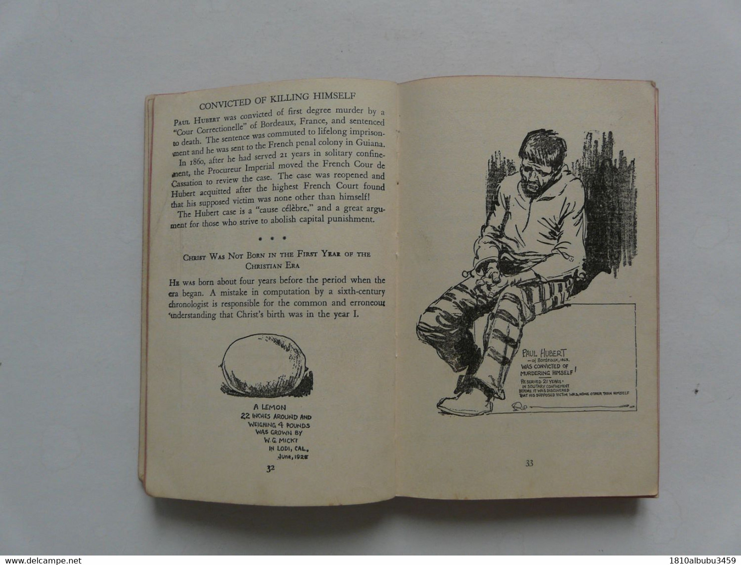 POCKET BOOK : RIPLEY'S - BELIEVE IT OR NOT : An Odysey Of Incredible Oddities - Other & Unclassified