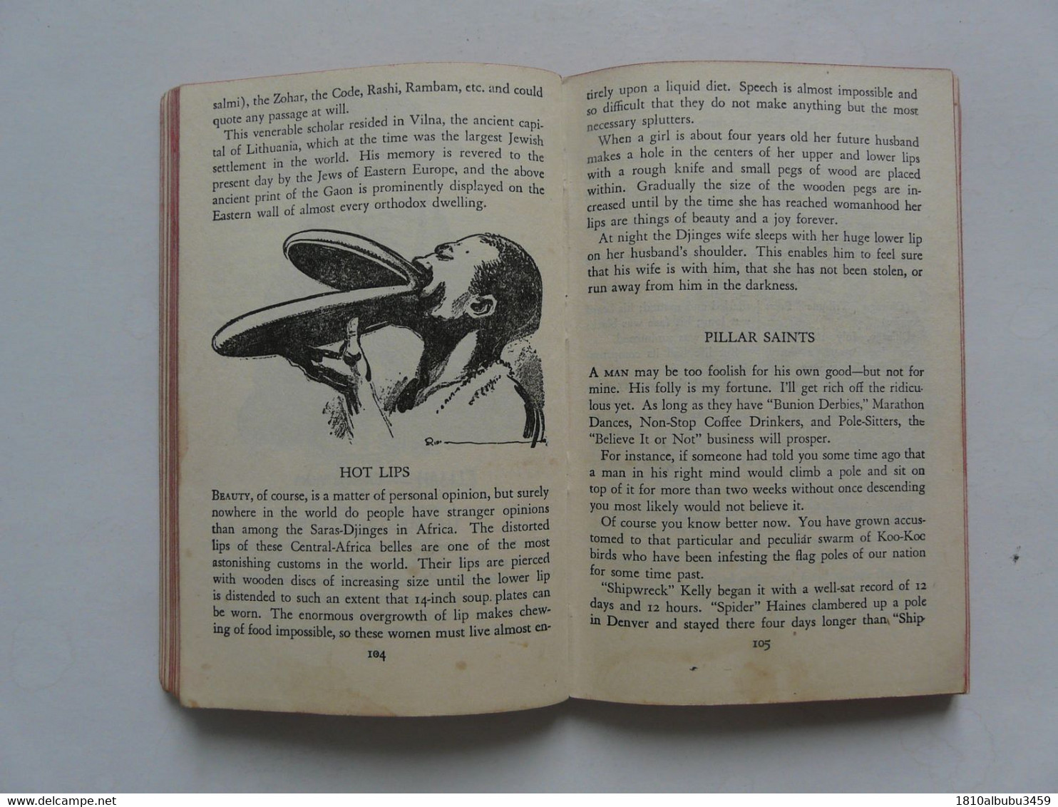 POCKET BOOK : RIPLEY'S - BELIEVE IT OR NOT : An Odysey Of Incredible Oddities - Autres & Non Classés