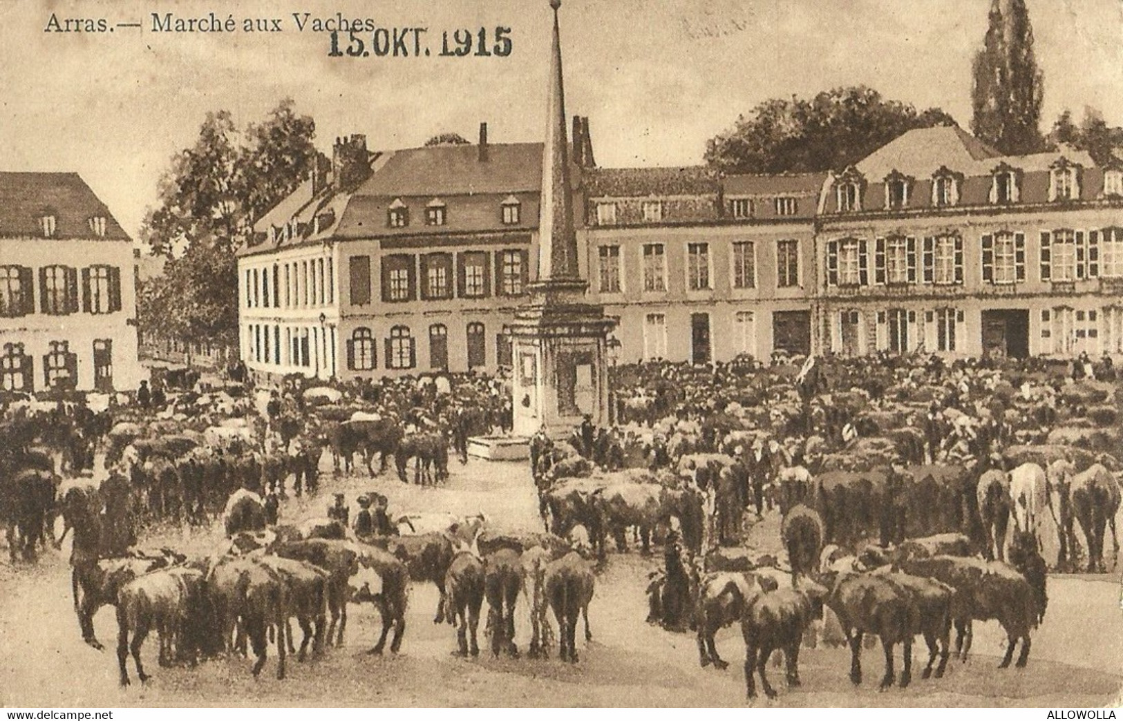 9444" ARRAS-MARCHE' AUX VACHES "FRANCHIGIA-ANIMATA-FOTO ORIGINALE-CARTOLINA SPEDITA 1915 - Nord-Pas-de-Calais