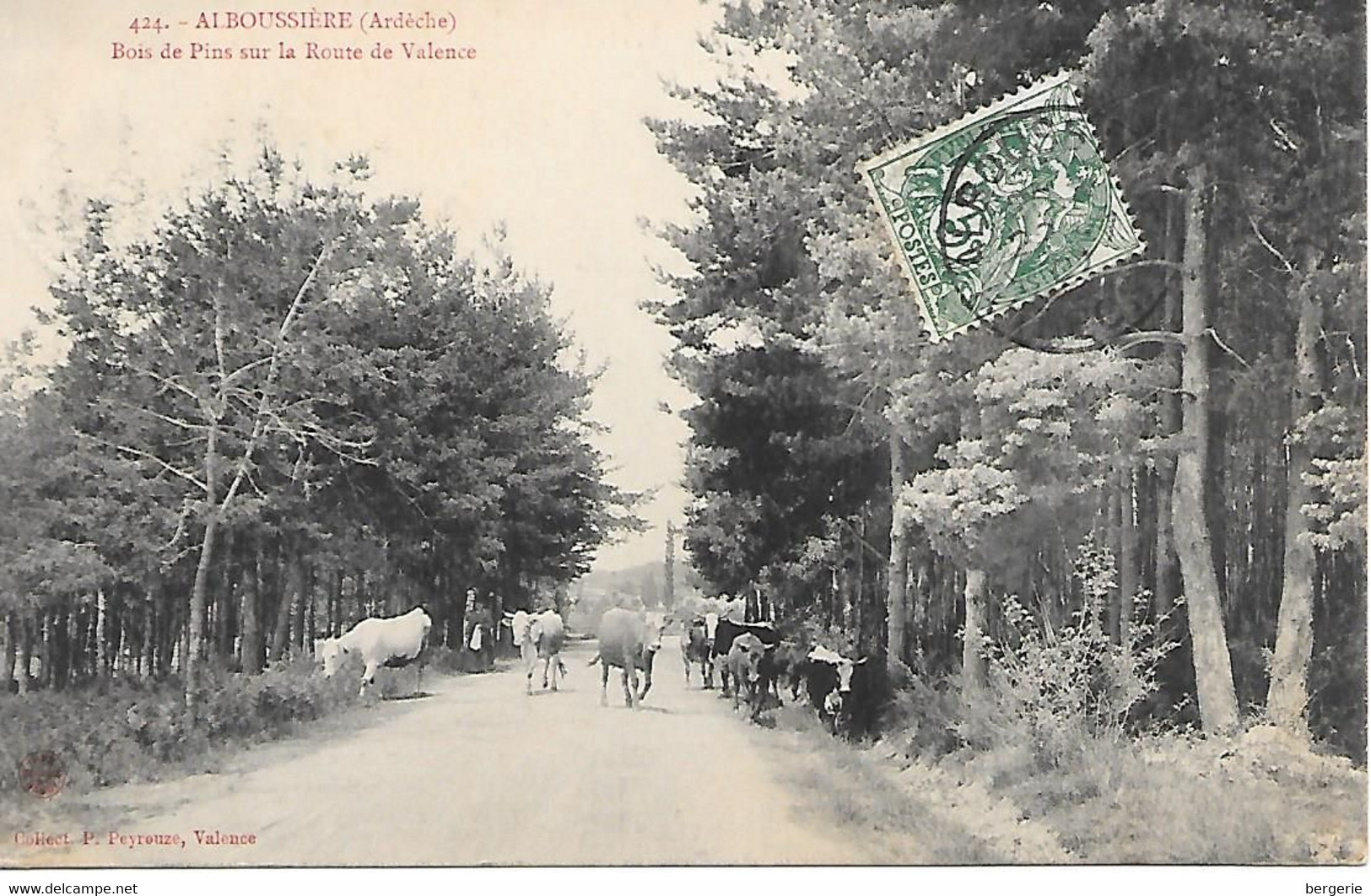 (1)     07     Alboussiére     Bois De Pins Sur La Route De Valence - Sonstige & Ohne Zuordnung