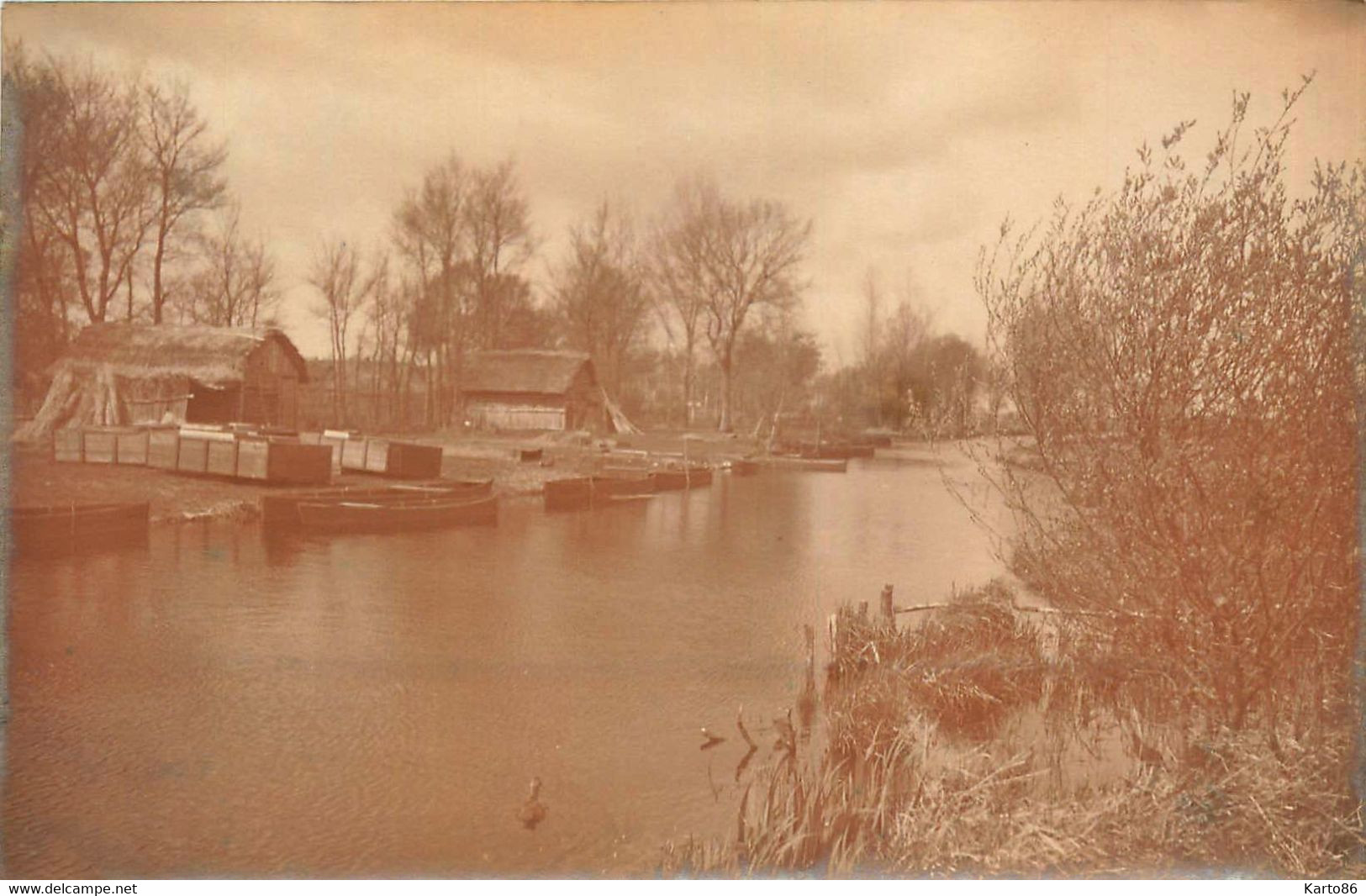 Brière * RARE 3 Cartes Photos * St Joachim , St Lyphard , La Chapelle Des Marais ? - Saint-Joachim