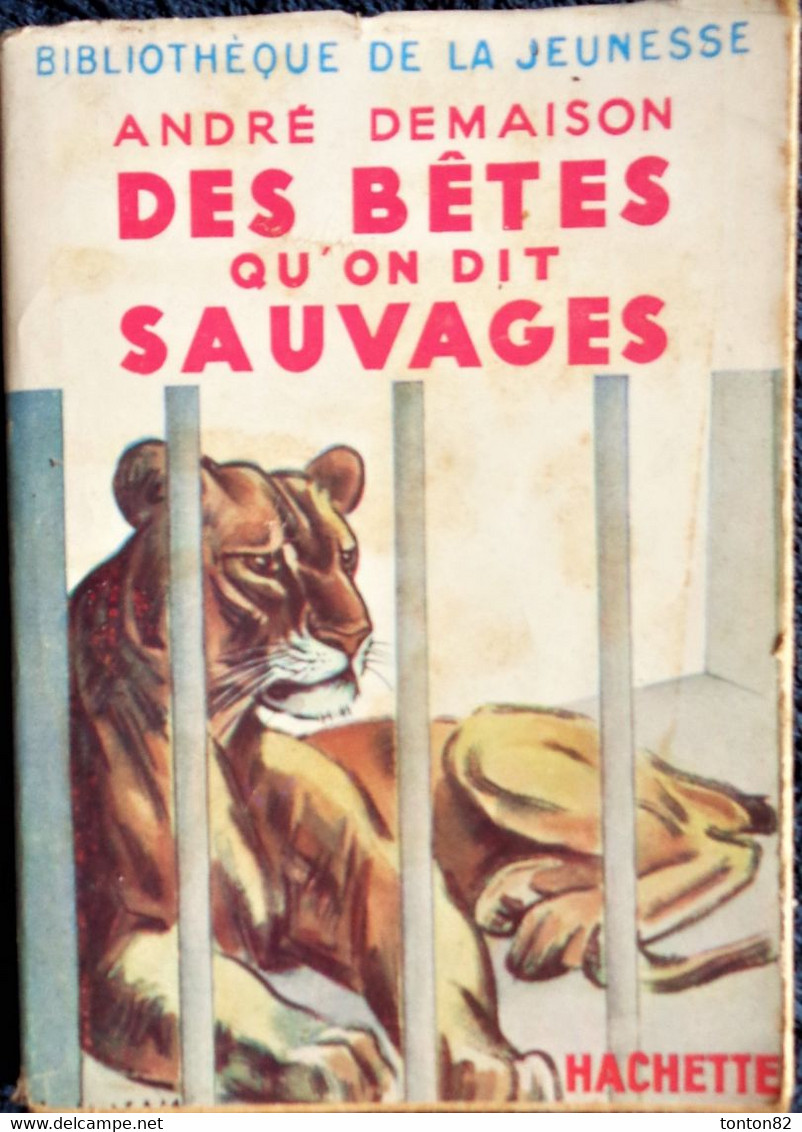 André Demaison - Des Bêtes Qu'on Dit Sauvages - Bibliothèque De La Jeunesse - ( 1956 ) . - Bibliothèque De La Jeunesse