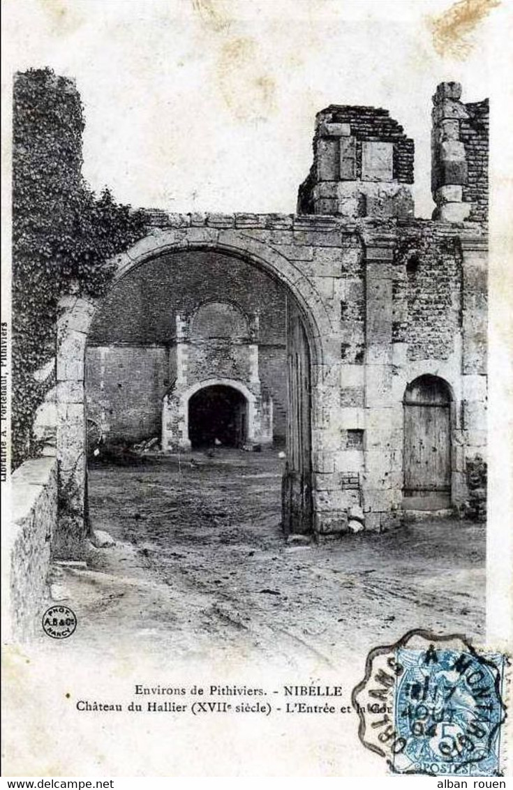 CPP 114 - CARTE PHOTO - NIBELLE (45) - Chateau Du Hallier, Chasse - Andere & Zonder Classificatie