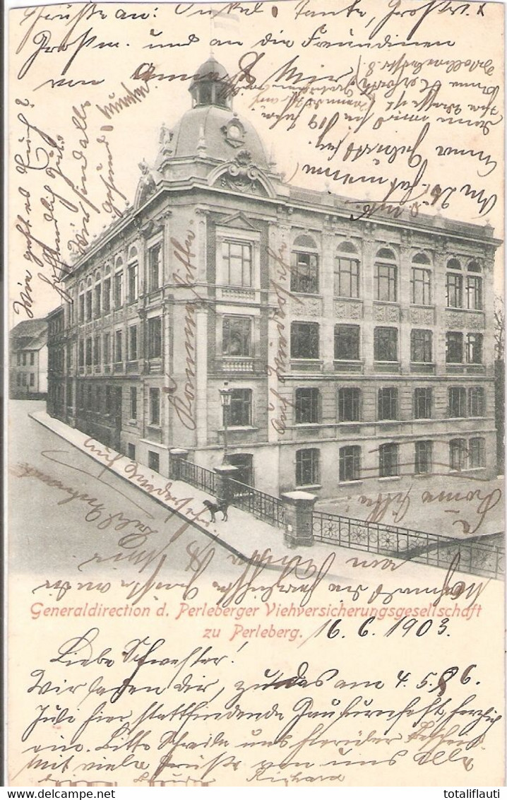 PERLEBERG Prignitz Generaldirection Vieh Versicherung Gesellschaft Grünlich 17.6.1903 Gelaufen - Perleberg