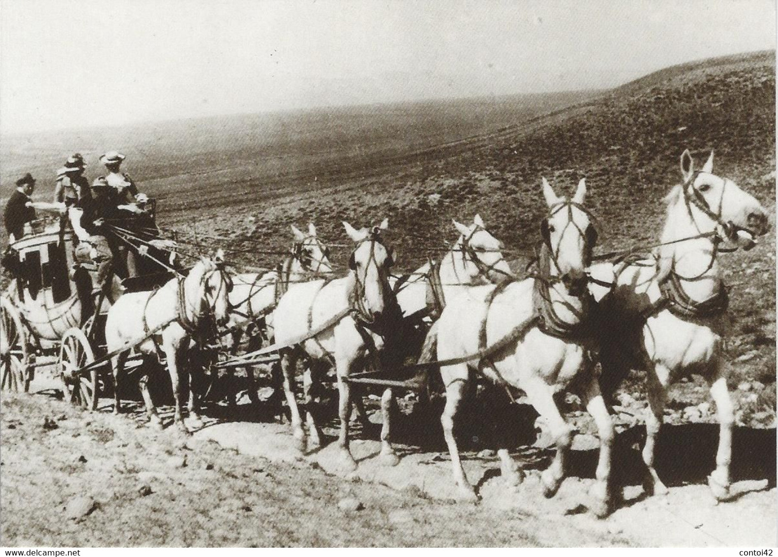 CARTE POSTALE MODERNE TYPE ATTELAGE CHEVAUX SIX HORSE STAGECOACH WALCOTT SARATOGA  ETATS-UNIS - Sonstige & Ohne Zuordnung