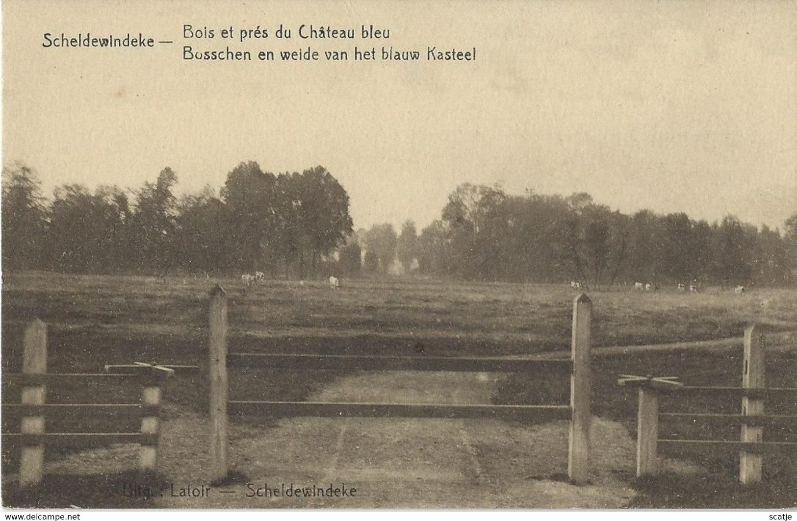 Scheldewindeke.  -   Bois Et Près Du Château Bleu. - Oosterzele