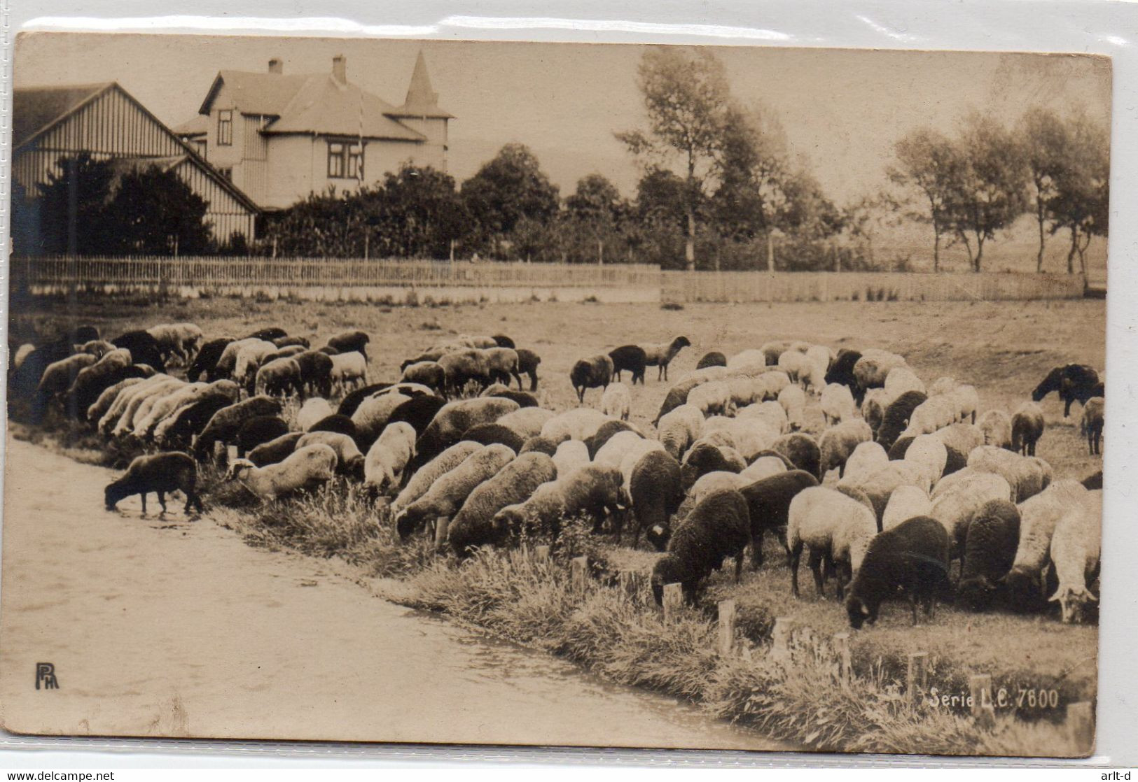 DC4371 - Berlin Halensee, Echtfoto-Karte, Hof Mit Vieh, Wohnhaus, Privatfoto-Karte - Halensee