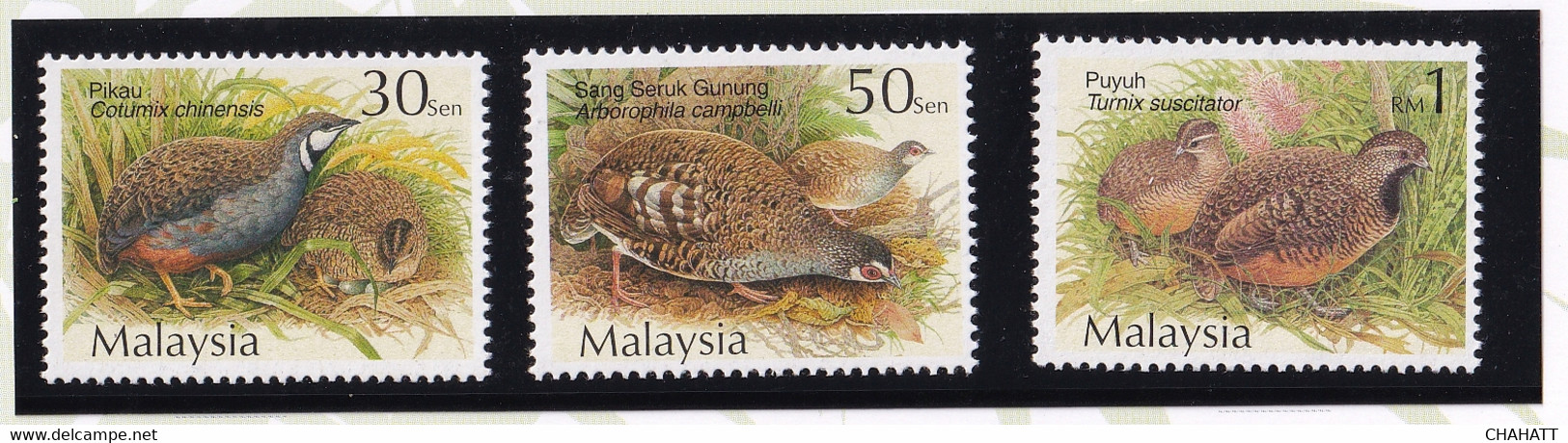 BIRDS-QUAILS & PARTRIDGES-PRESENTATION PACK-MALAYSIA-2001-SCARCE-FC2-104 - Patrijzen, Kwartels