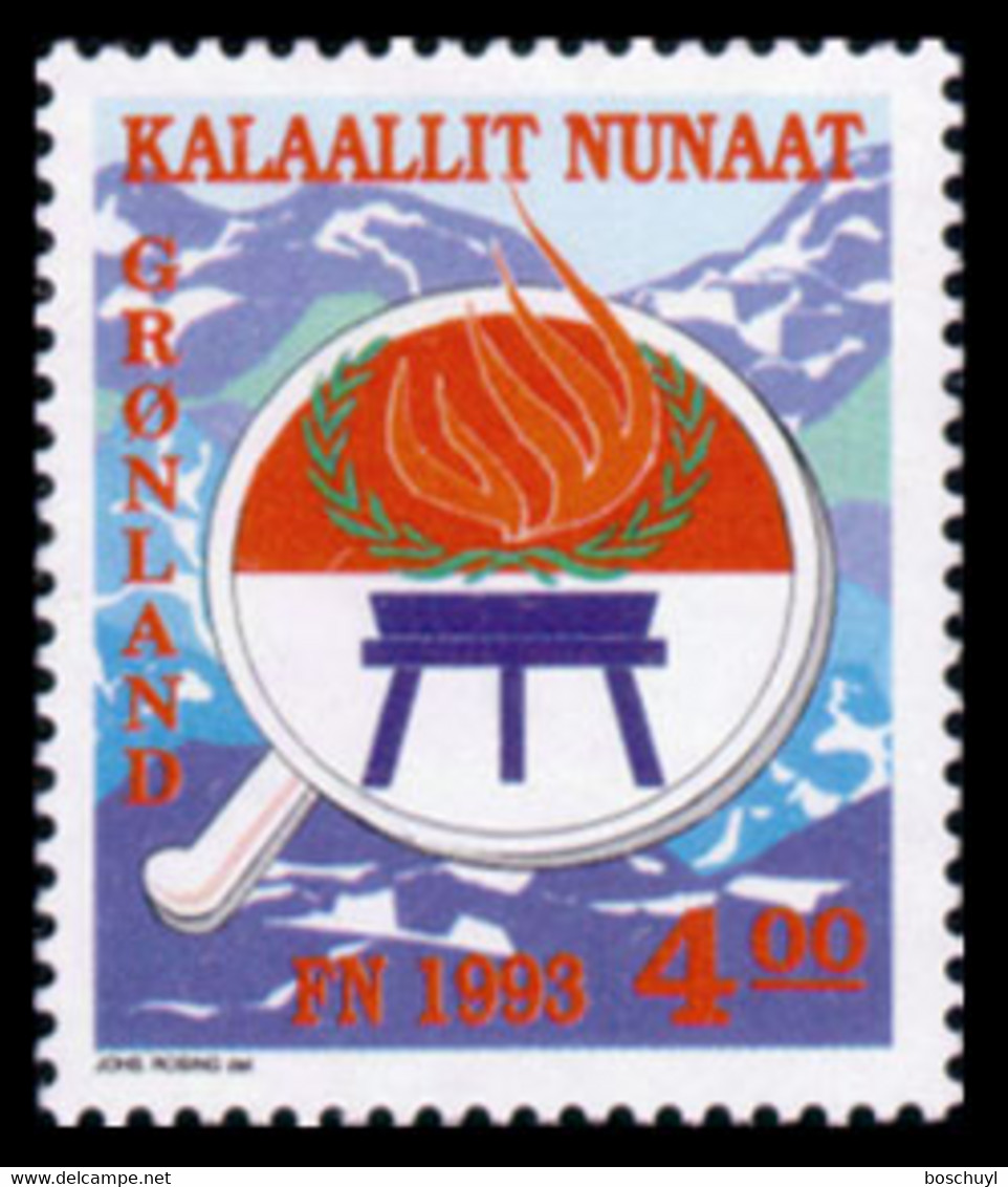 Greenland, 1993, International Year Of Indigenous People, United Nations, MNH, Michel 230 - Sonstige & Ohne Zuordnung