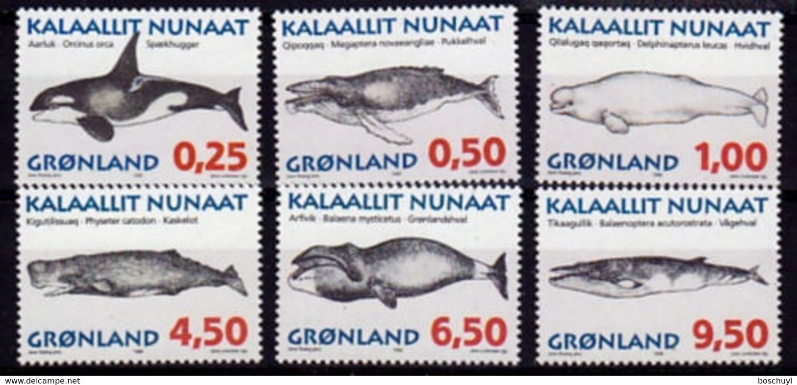 Greenland, 1996, Whales, Animals, Fauna, MNH, Michel 287-292y - Sonstige & Ohne Zuordnung