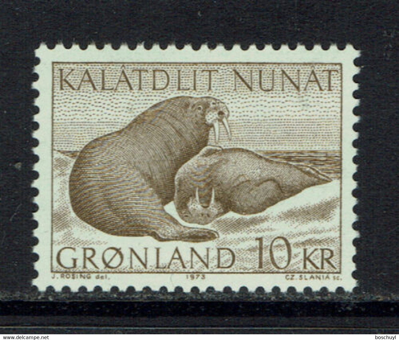 Greenland, 1973, Walrus, Animals, Fauna, MNH, Michel 83 - Sonstige & Ohne Zuordnung