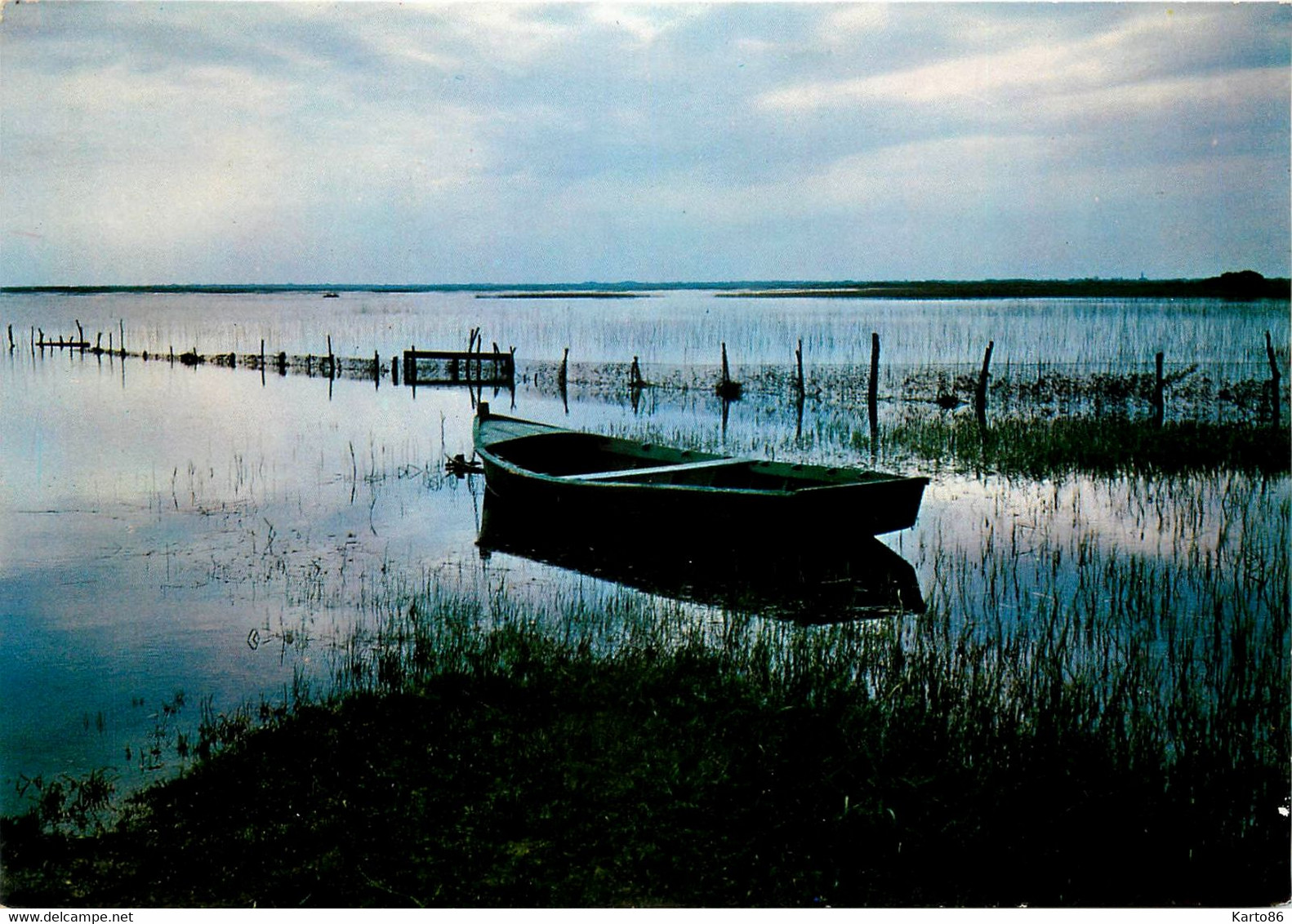 Bouaye * Le Lac De Grand Lieu - Bouaye