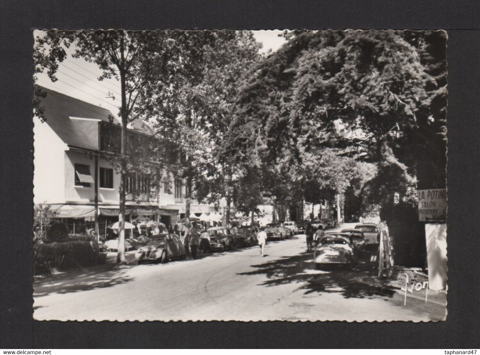 CPSM . 56 . CARNAC . Avenue Des Druides . Voitures . - Carnac