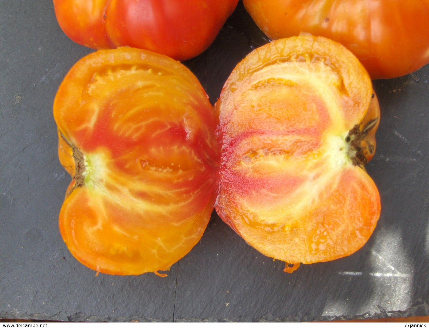 30 Graines De TOMATE SERENDIPITY STRIPED ( BIO) - Andere & Zonder Classificatie