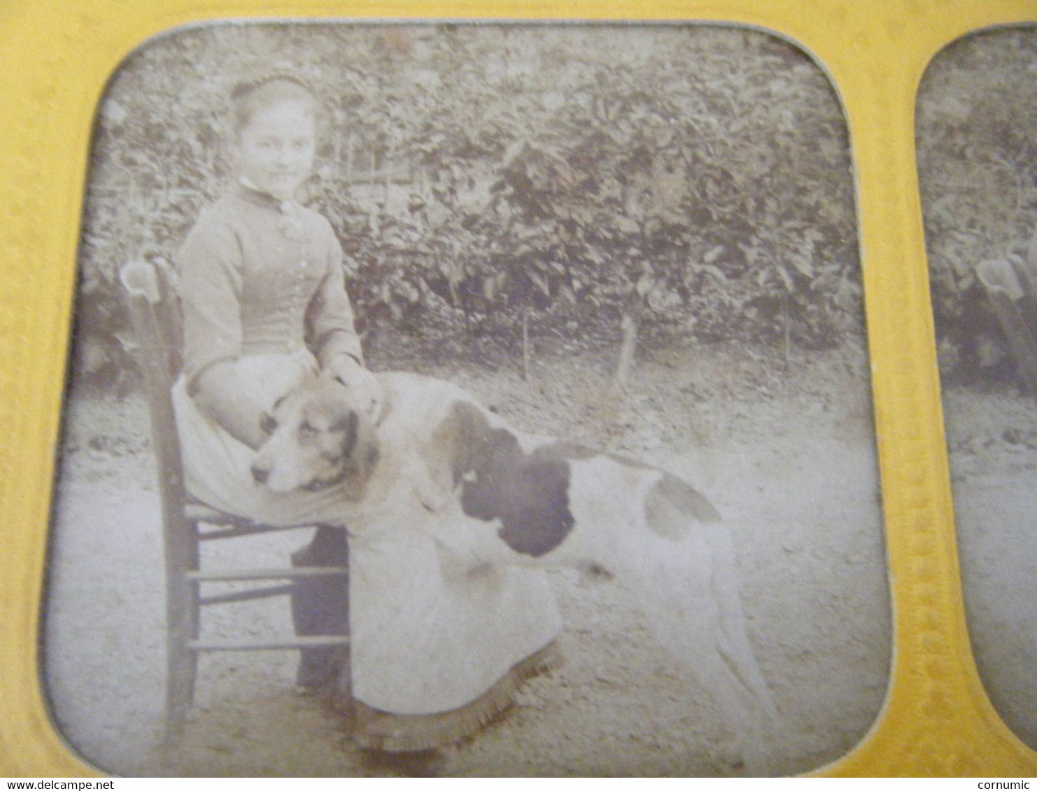 Photo Stéréoscopique  Colorisée Enfant Et Son Chien - Stereoscopic