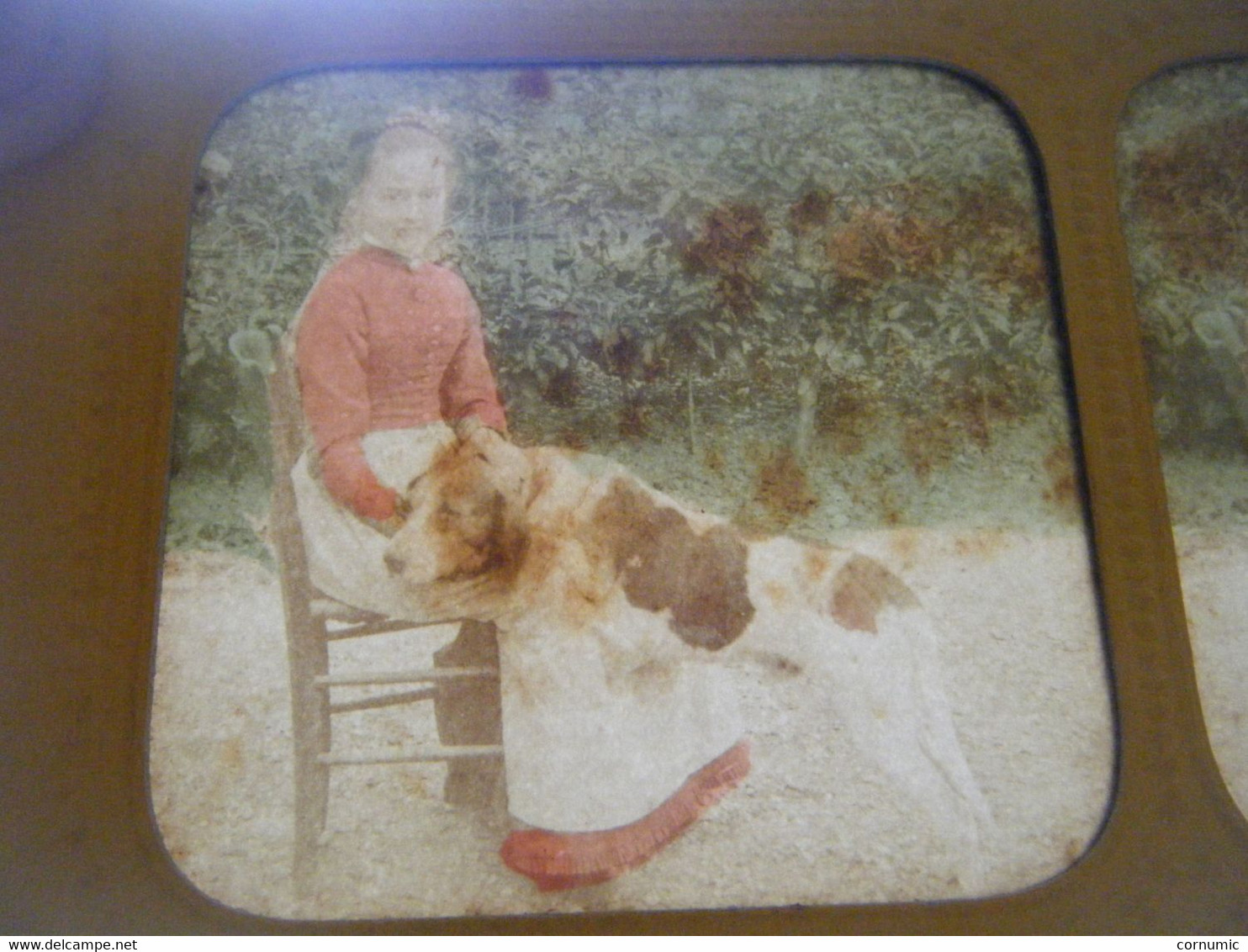 Photo Stéréoscopique  Colorisée Enfant Et Son Chien - Stereoscopic