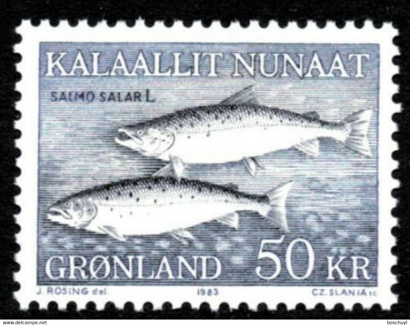 Greenland, 1983, Fish, MNH, Michel 140 - Sonstige & Ohne Zuordnung