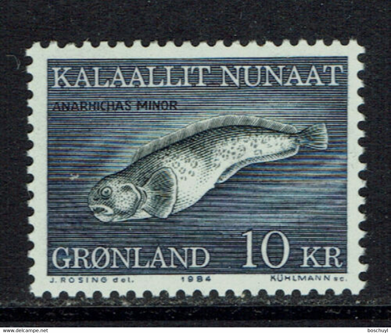 Greenland, 1984, Fish, MNH, Michel 154 - Sonstige & Ohne Zuordnung