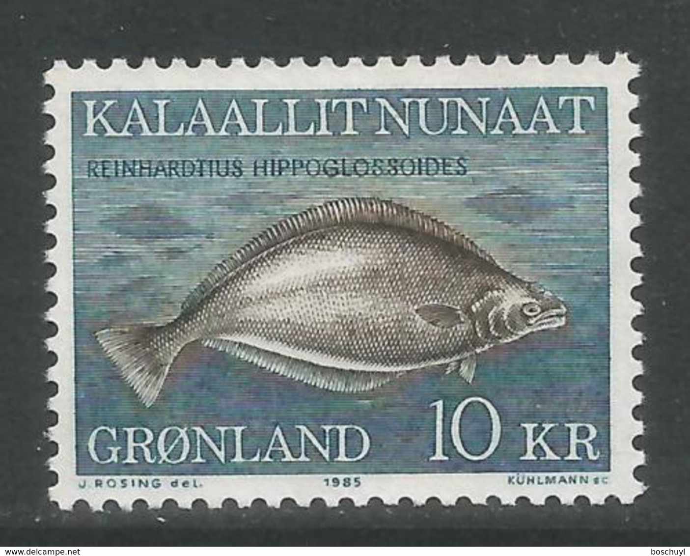 Greenland, 1985, Fish, MNH, Michel 162 - Sonstige & Ohne Zuordnung