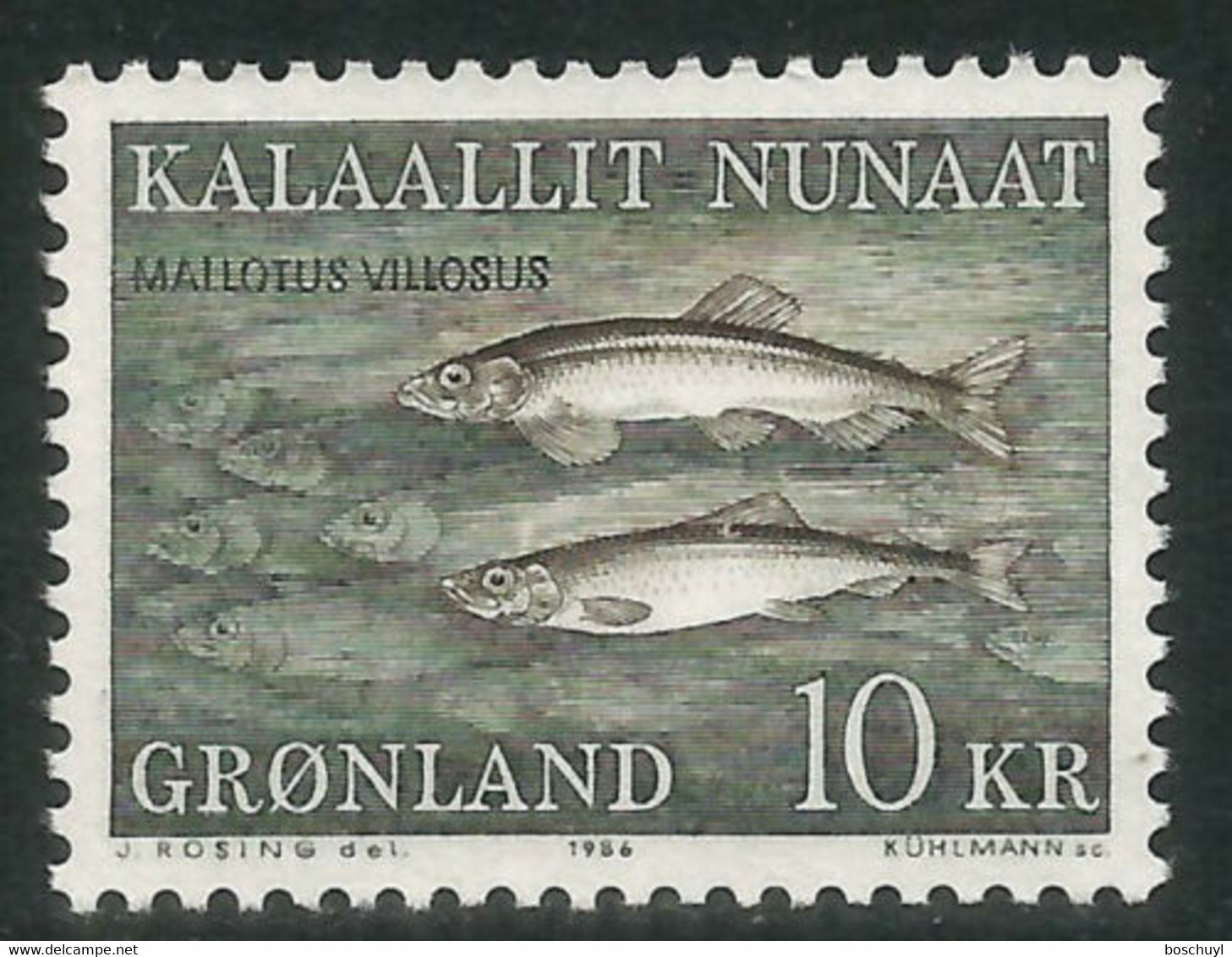 Greenland, 1986, Fish, Animals, MNH, Michel 168 - Sonstige & Ohne Zuordnung