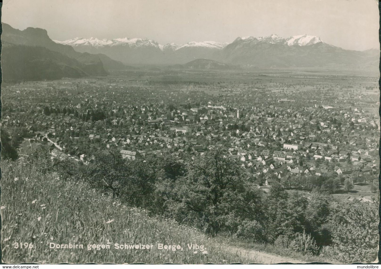 Echtfoto Übersichtskarte DORNBIRN, Voralberg, Mit Schweizer Alpen, Gelaufen 1956 - Dornbirn