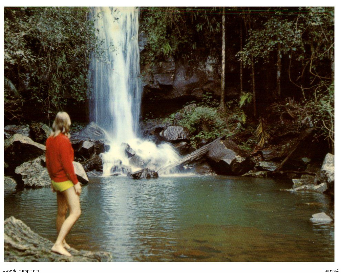 (R 22) Australia - QLD - Mt Tambourine Curtis Creek Waterfall (W9) - Atherton Tablelands