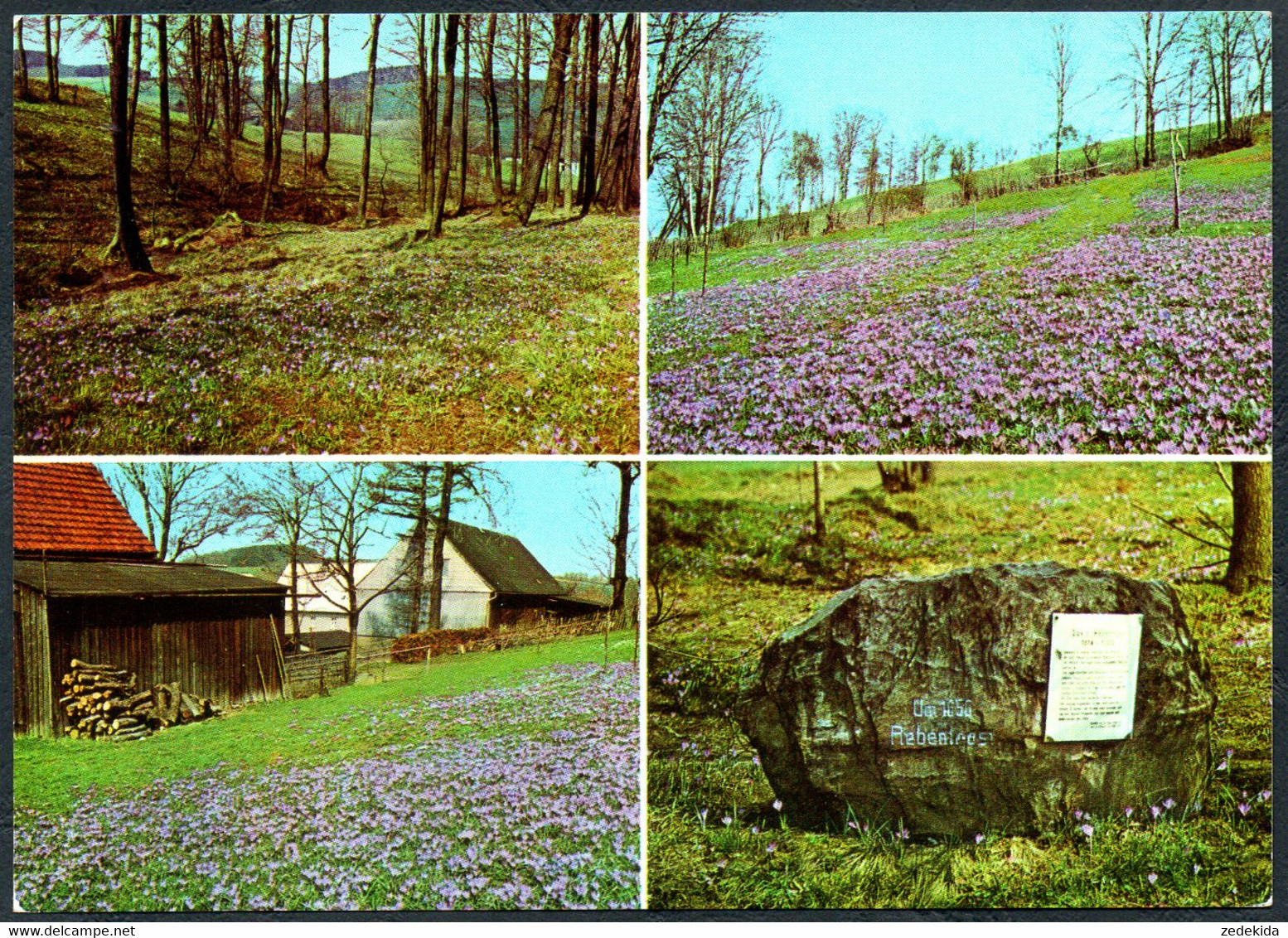 E2297 - TOP Drehbach Krokuswiesen - Bild Und Heimat Reichenbach - Zschopau