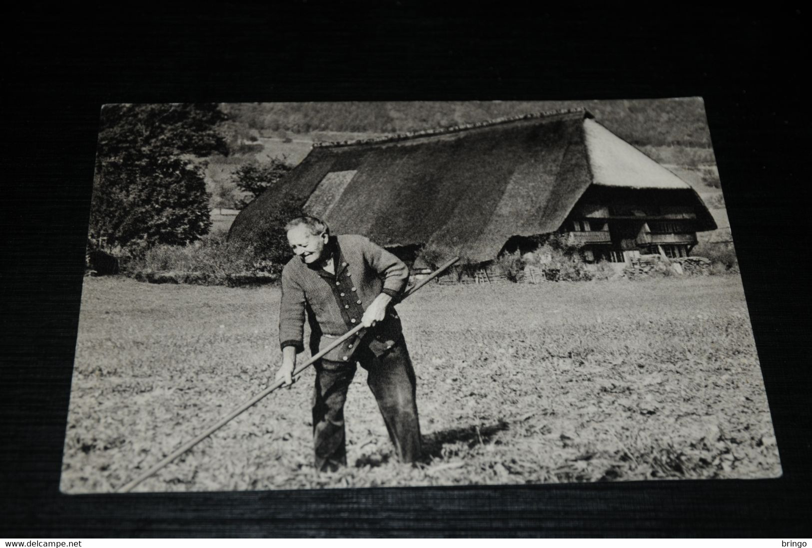 18162-         IM LIEBLICHEN GUTACHTAL - 1950 - Gutach (Breisgau)