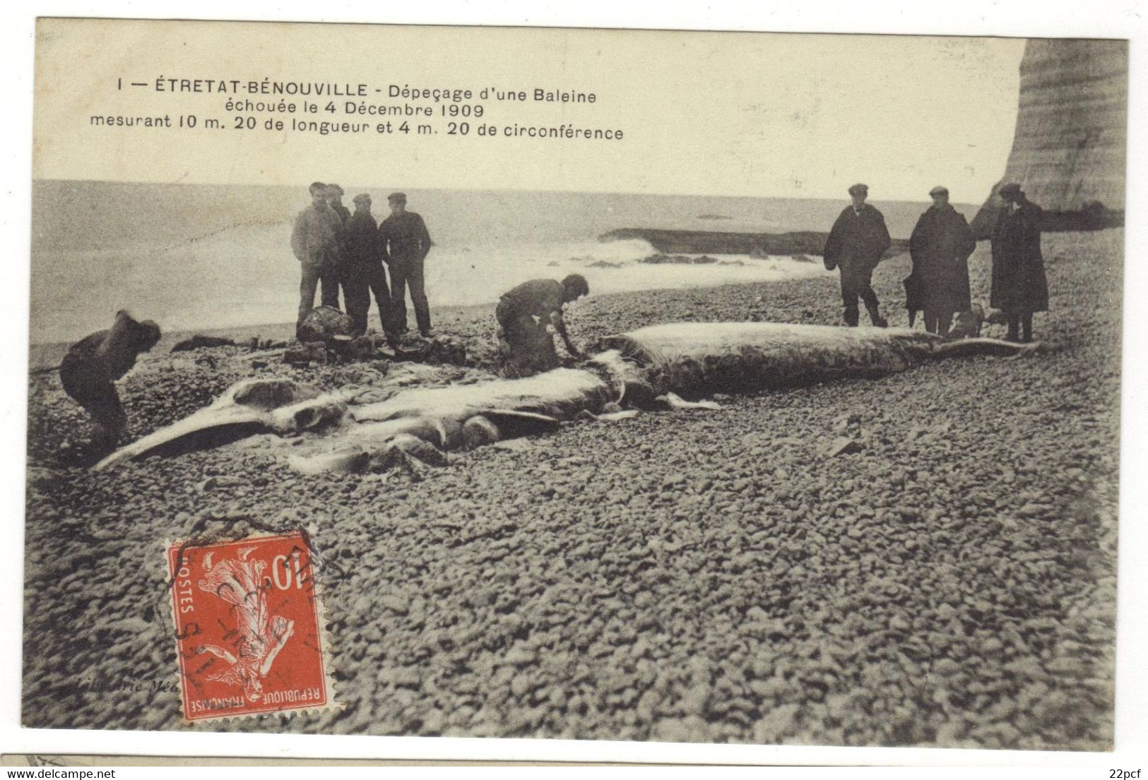 1- ETRETAT- BENOUVILLE - Dépeçage D'une Baleine échouée Le 4 Décembre 1909 - Etretat