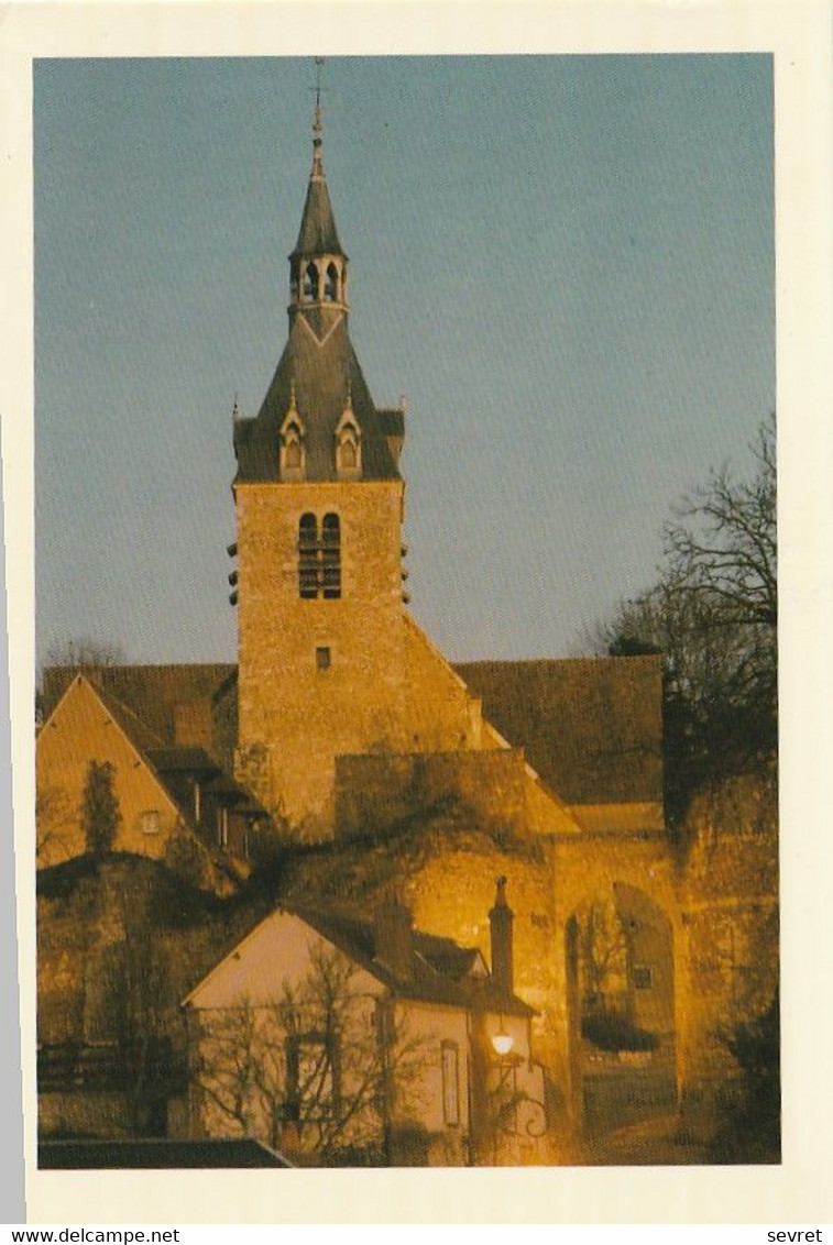 CHATEAU- RENARD. - L'Eglise - La Porte Du Château - Andere & Zonder Classificatie