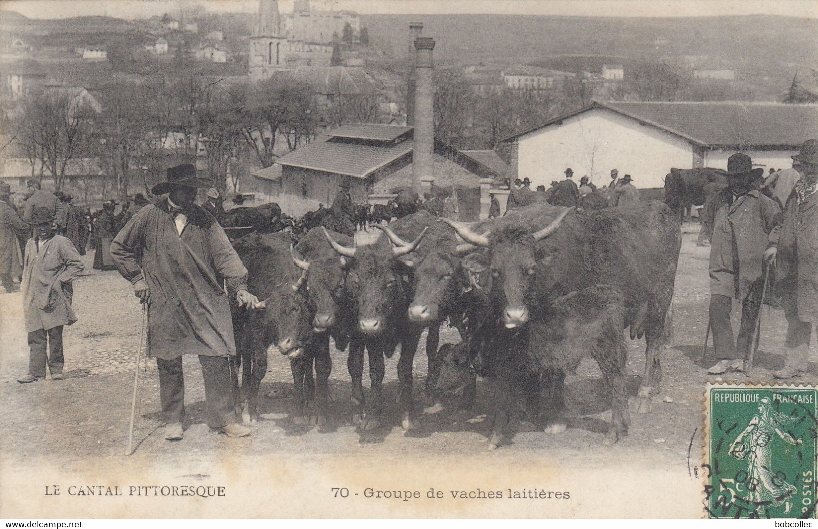 CANTAL: Groupe De Vaches Laitières - Otros & Sin Clasificación