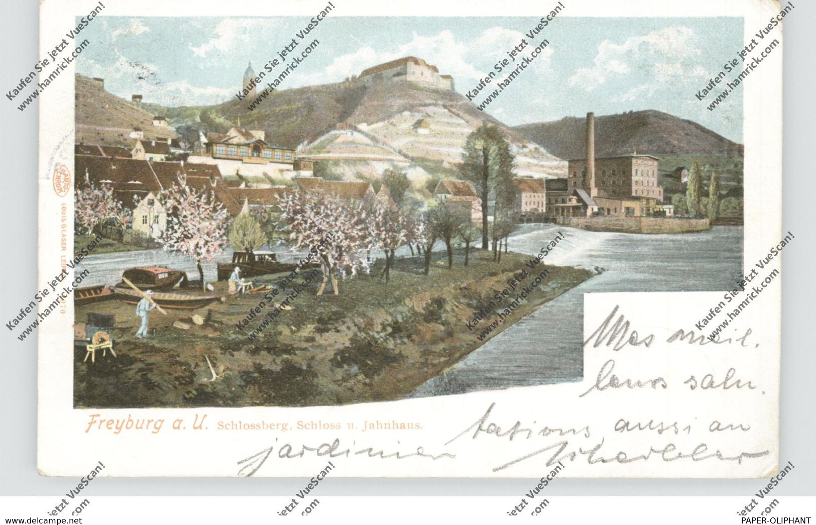 0-4804 FREYBURG / Unstrut, Schlossberg, Schloss Und Jahnhaus, 1902 - Freyburg A. D. Unstrut