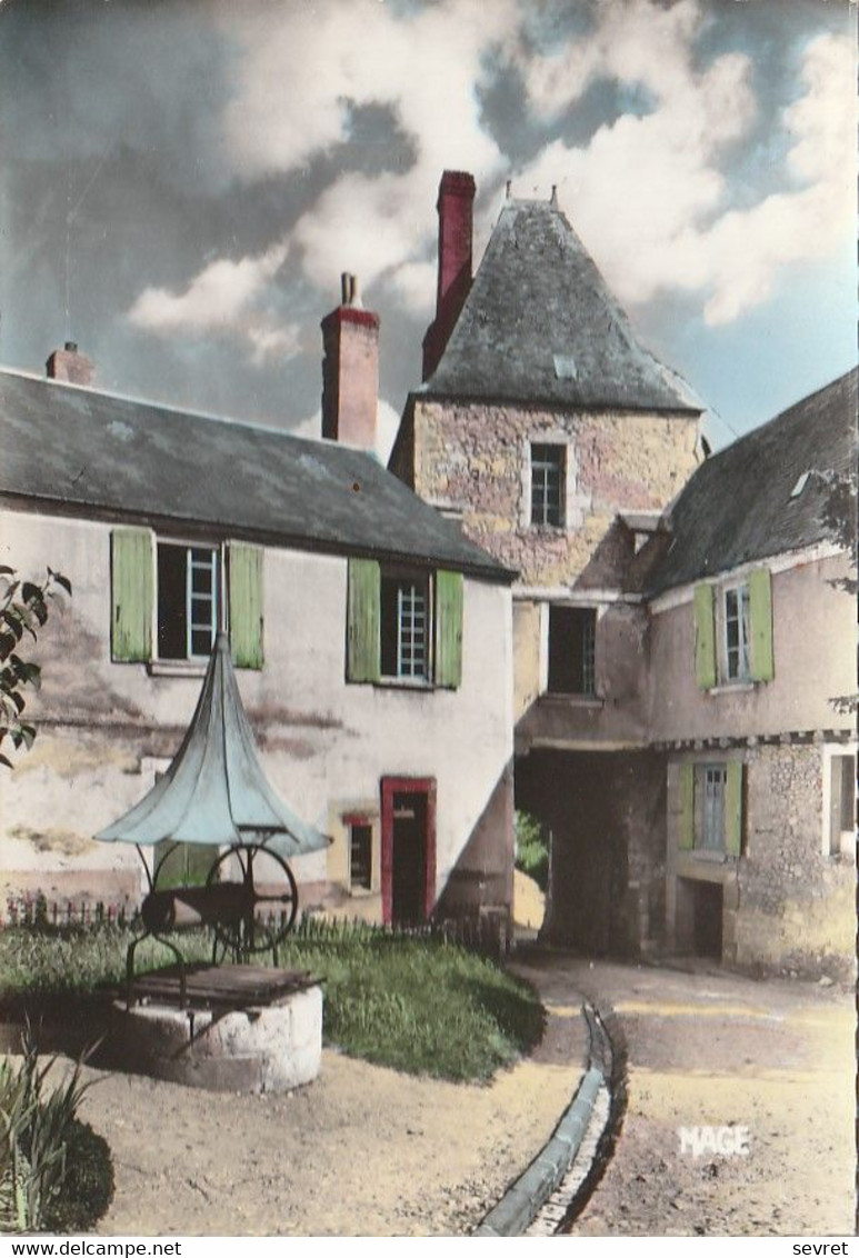 MONTARGIS. - Le Château - La Poterne. CPM Photo Dentelée - Montargis