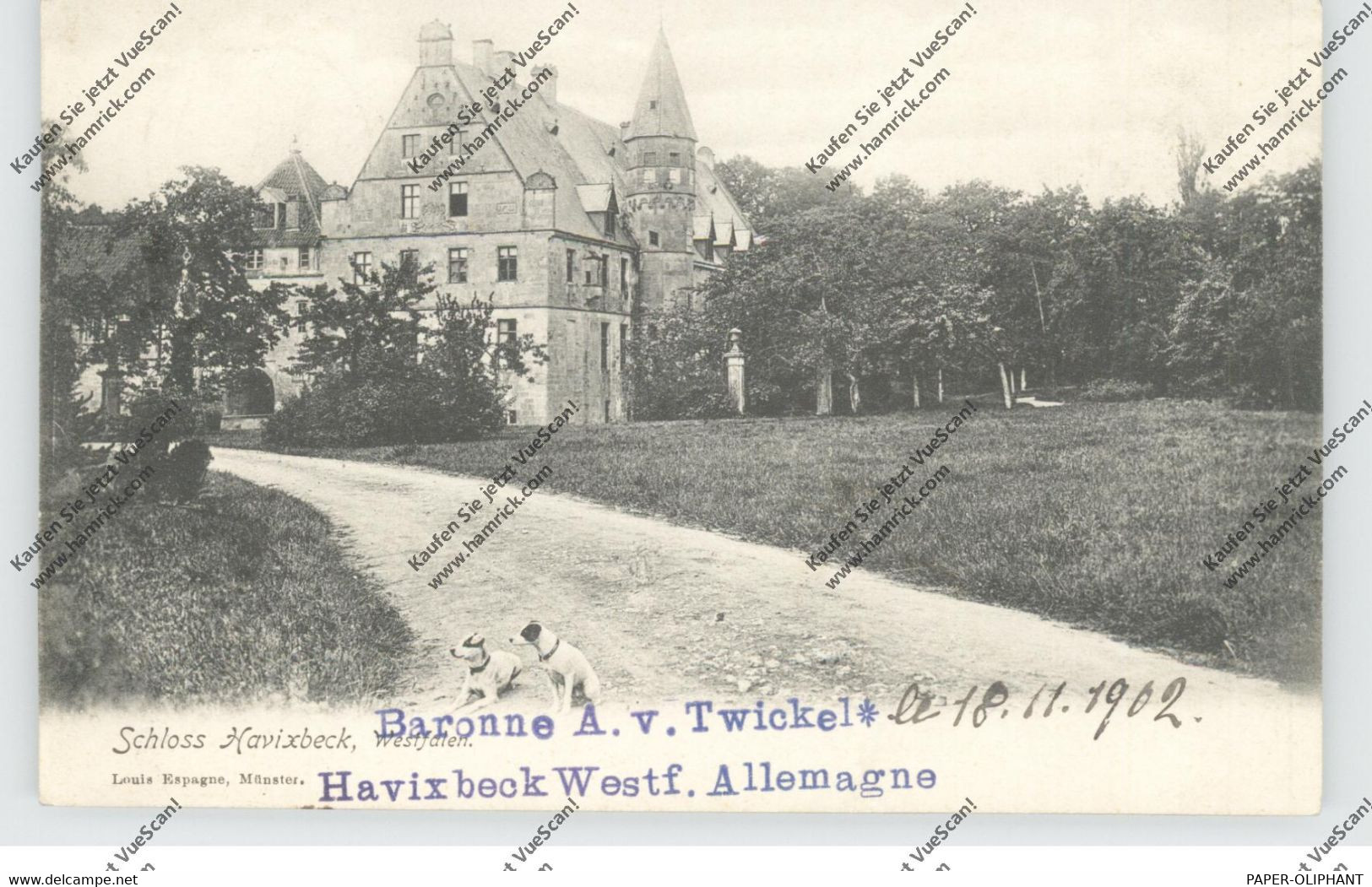 4409 HAVIXBECK, Schloss Havixbeck, Versendet V. Baronne, 1902 - Coesfeld
