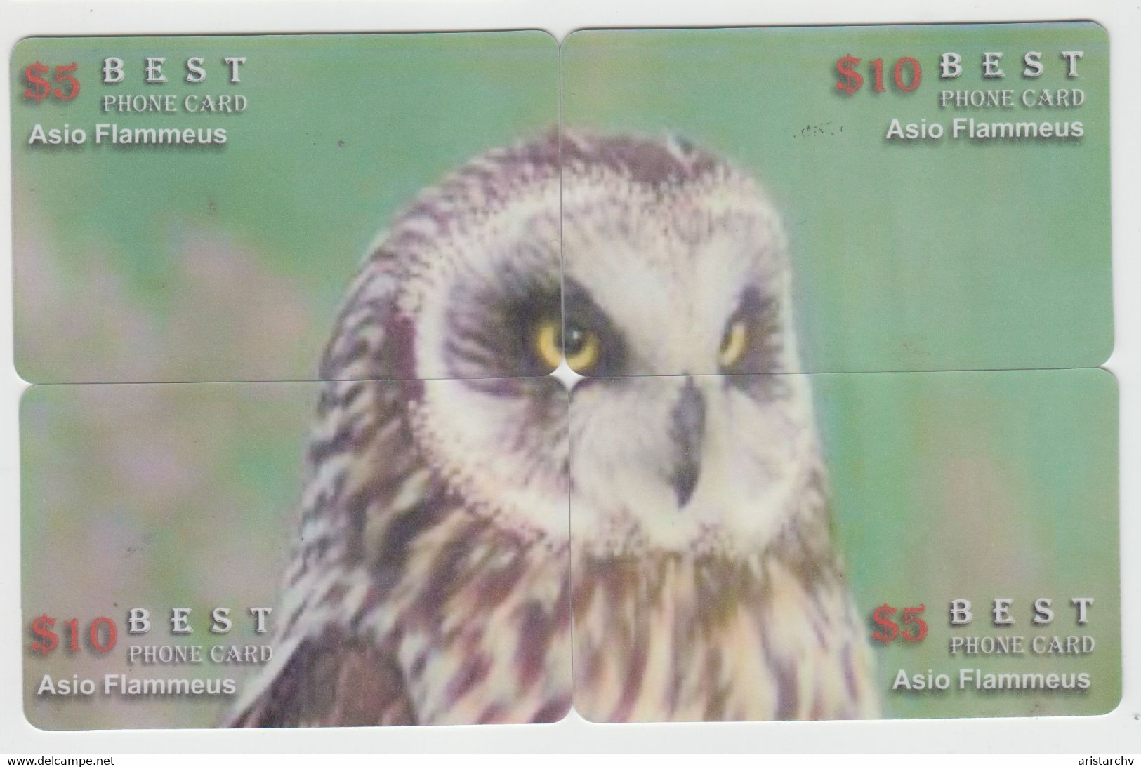 BIRD OWL 12 PUZZLES OF 48 CARDS - Gufi E Civette