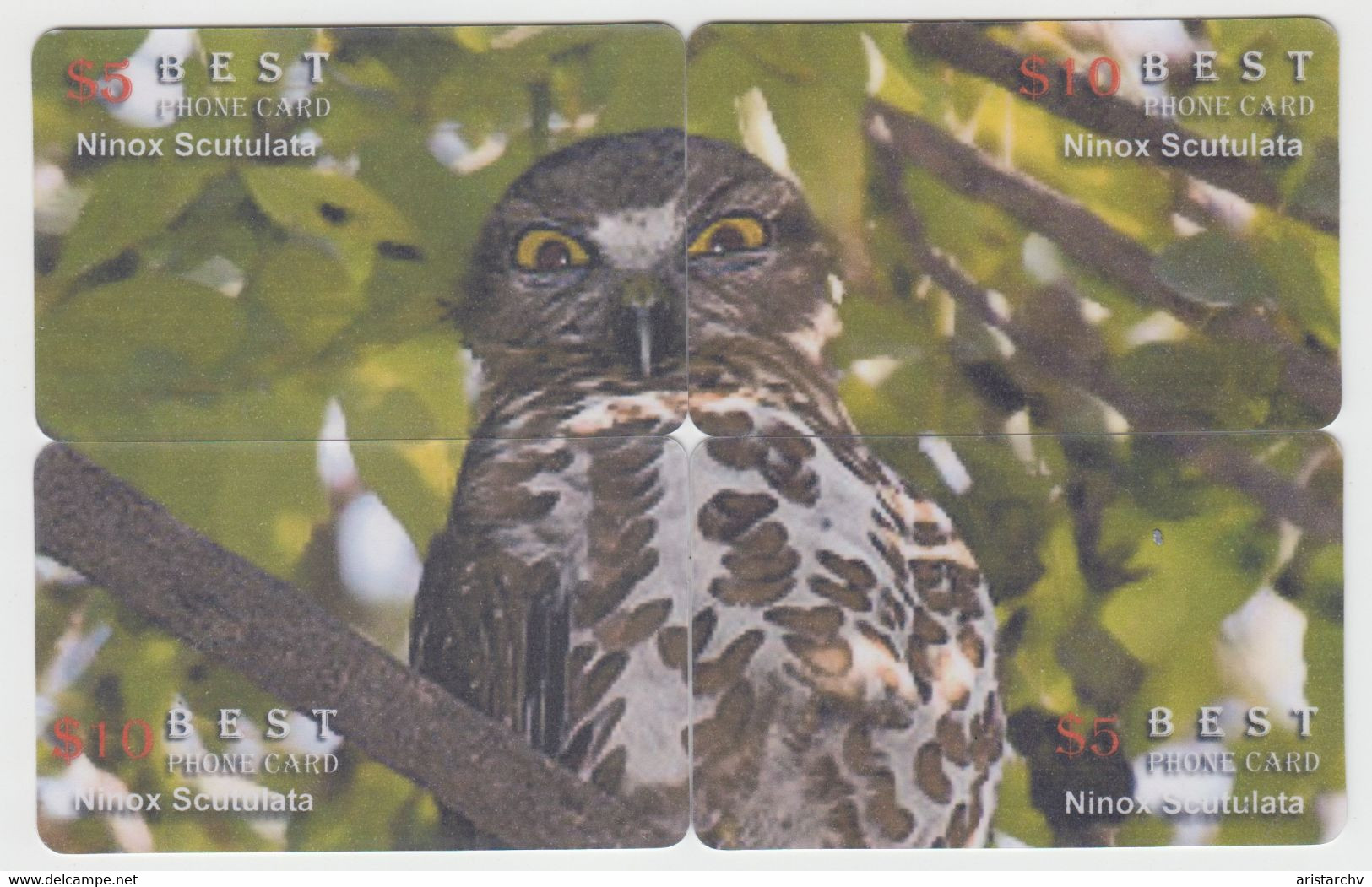BIRD OWL 12 PUZZLES OF 48 CARDS
