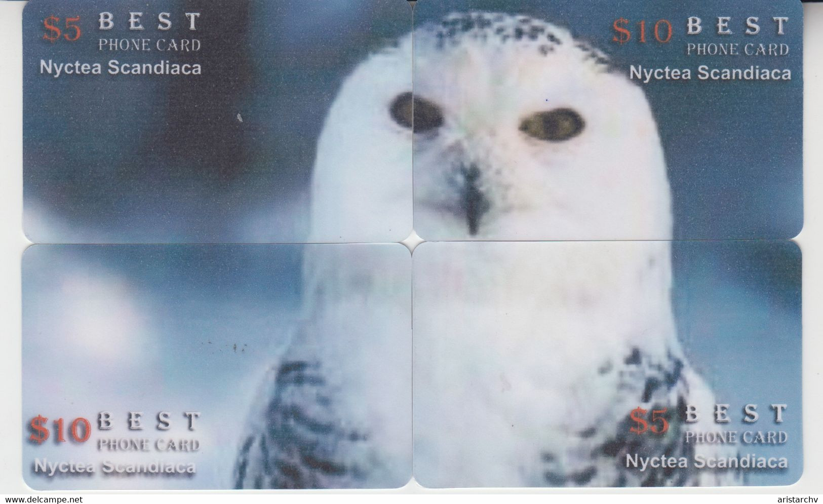 BIRD OWL 12 PUZZLES OF 48 CARDS