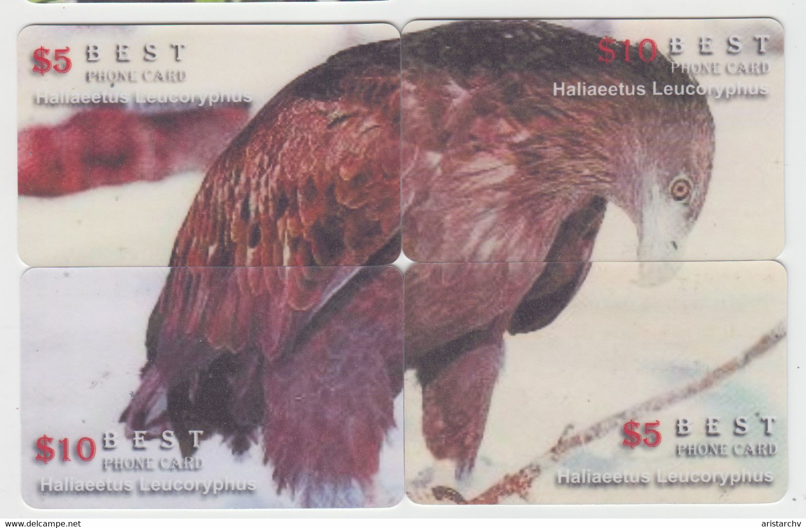 ISRAEL BIRD EAGLE 6 PUZZLES OF 24 CARDS - Águilas & Aves De Presa