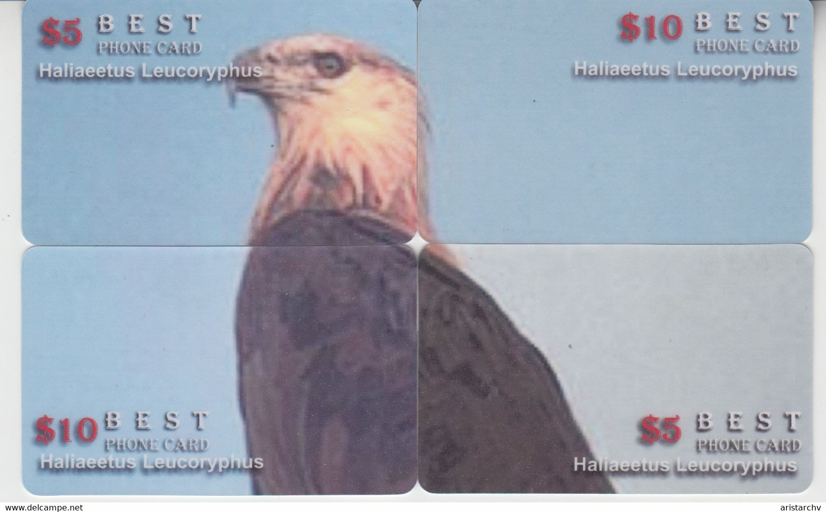 ISRAEL BIRD EAGLE 6 PUZZLES OF 24 CARDS - Aquile & Rapaci Diurni
