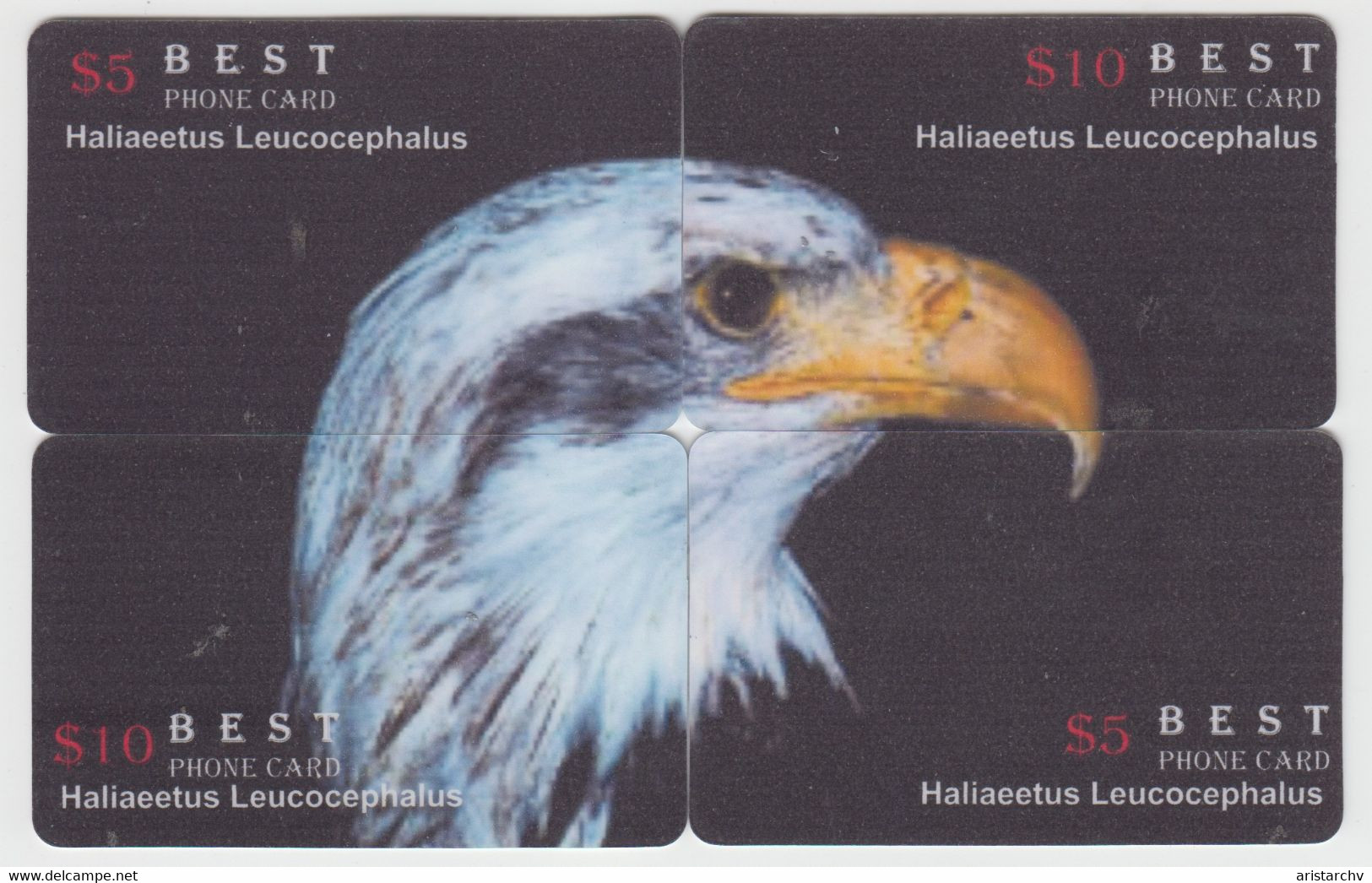 ISRAEL BIRD EAGLE 6 PUZZLES OF 24 CARDS - Eagles & Birds Of Prey
