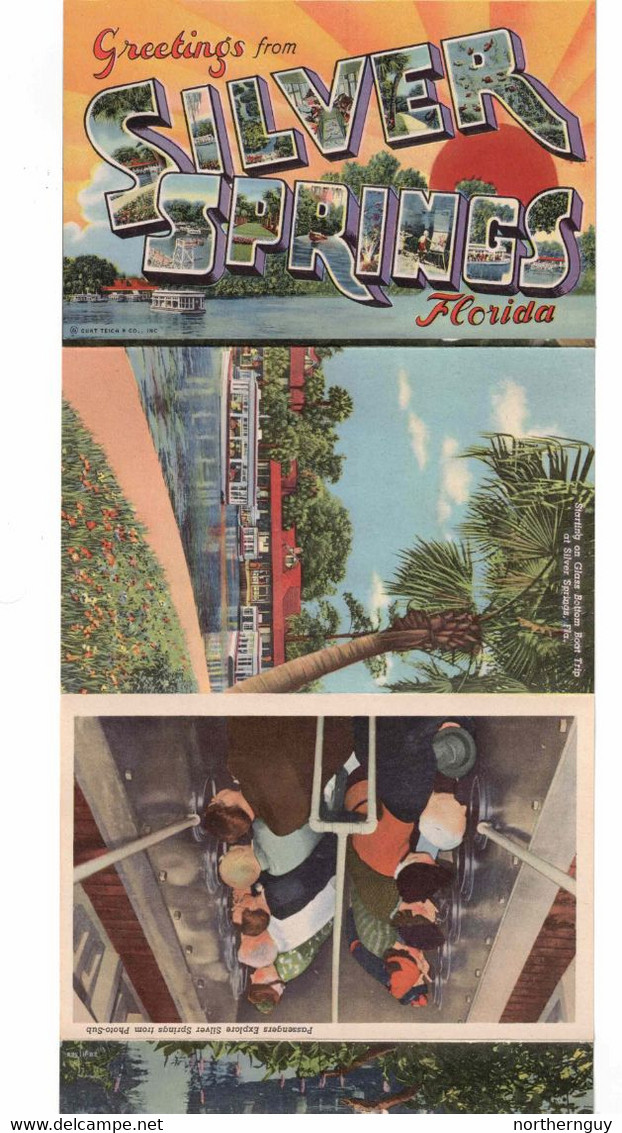 SILVER SPRINGS, Florida, USA, 1957 Linen Curteich Souvenir  Fold-Out Postcard - Silver Springs