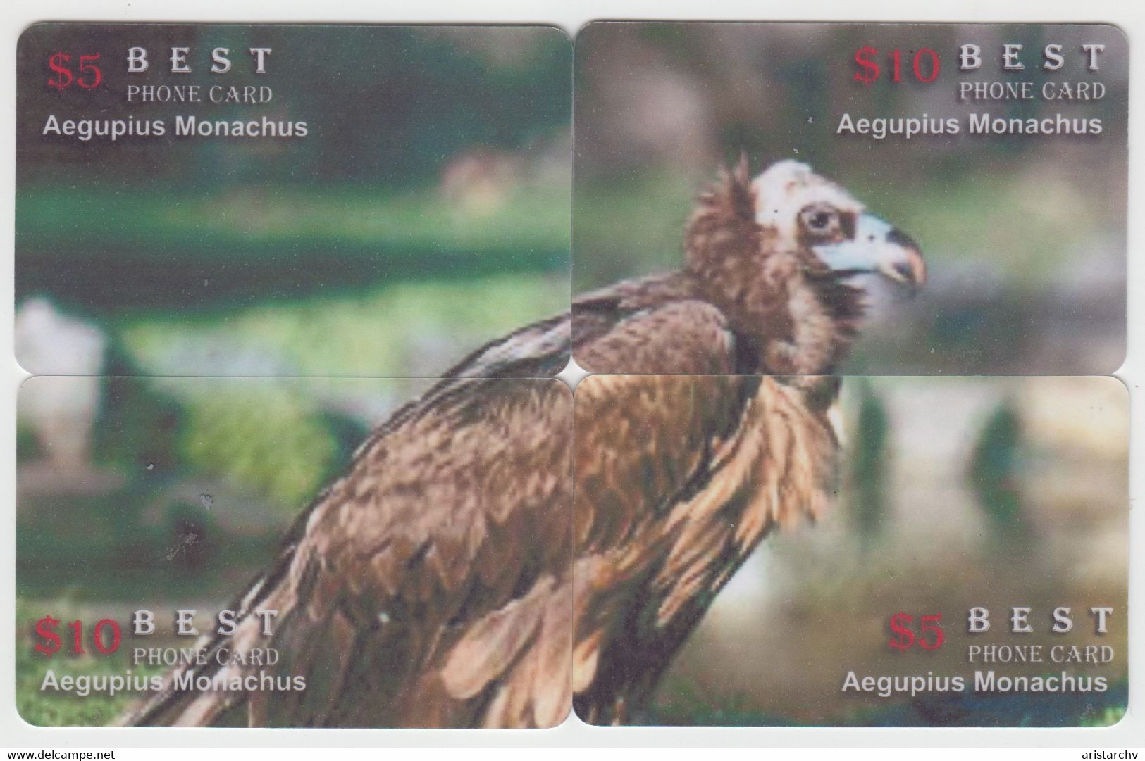 ISRAEL BIRD VULTURE 3 PUZZLES OF 12 CARDS - Arenden & Roofvogels